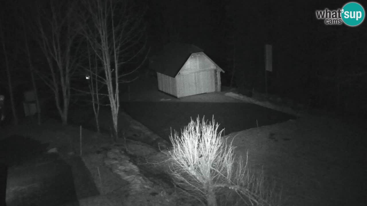 Webcam Lukanja – Water Village | Pohorje Houses