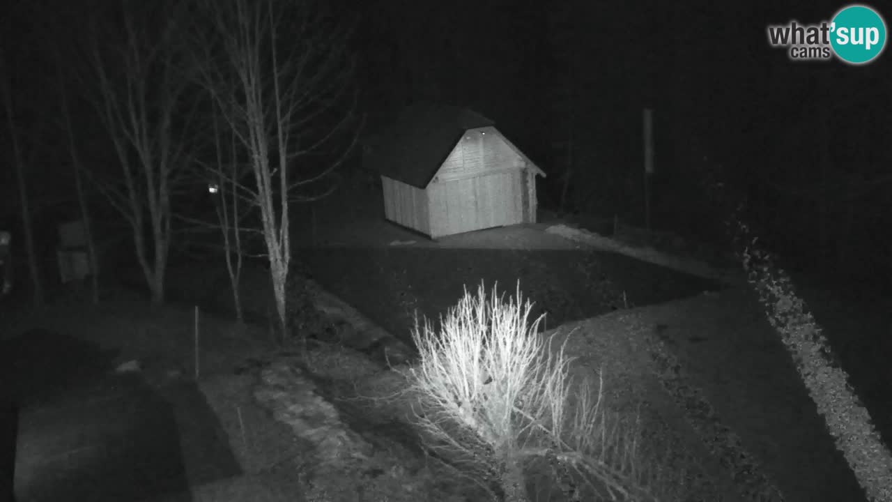 Web kamera Lukanja – Water Village | Pohorje Houses