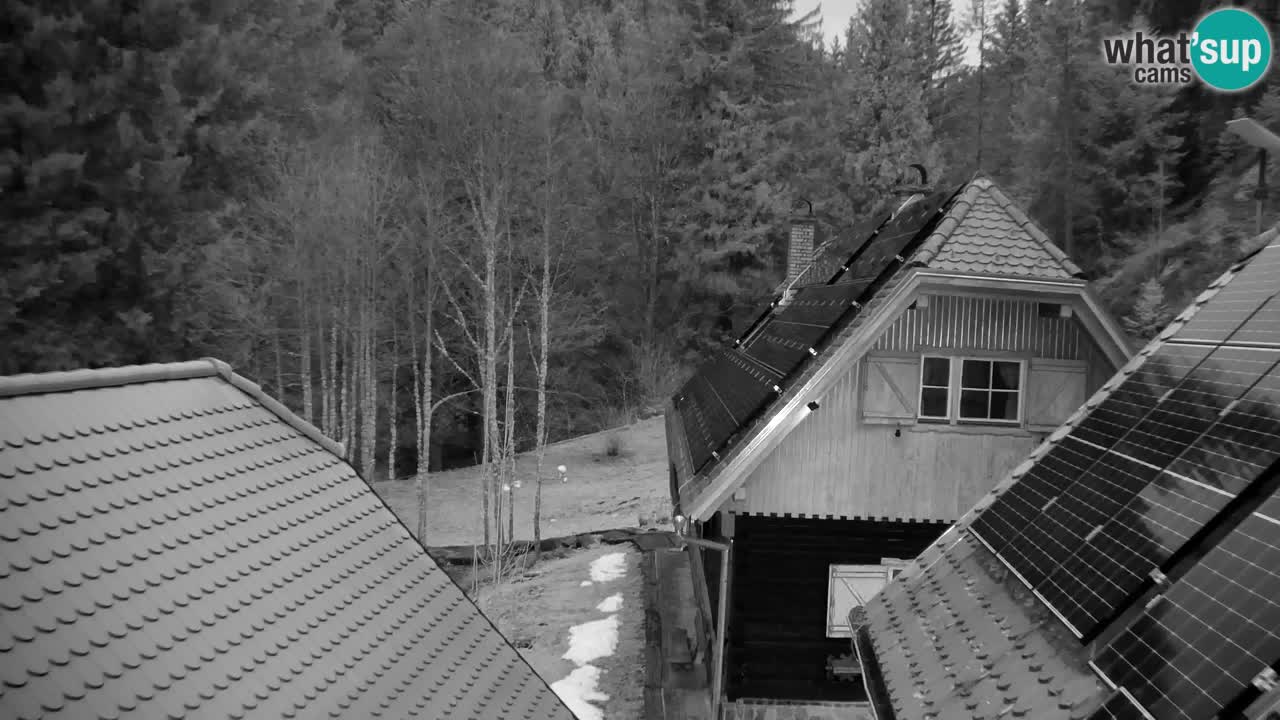 Webcam Lukanja – Water Village | Pohorje Houses