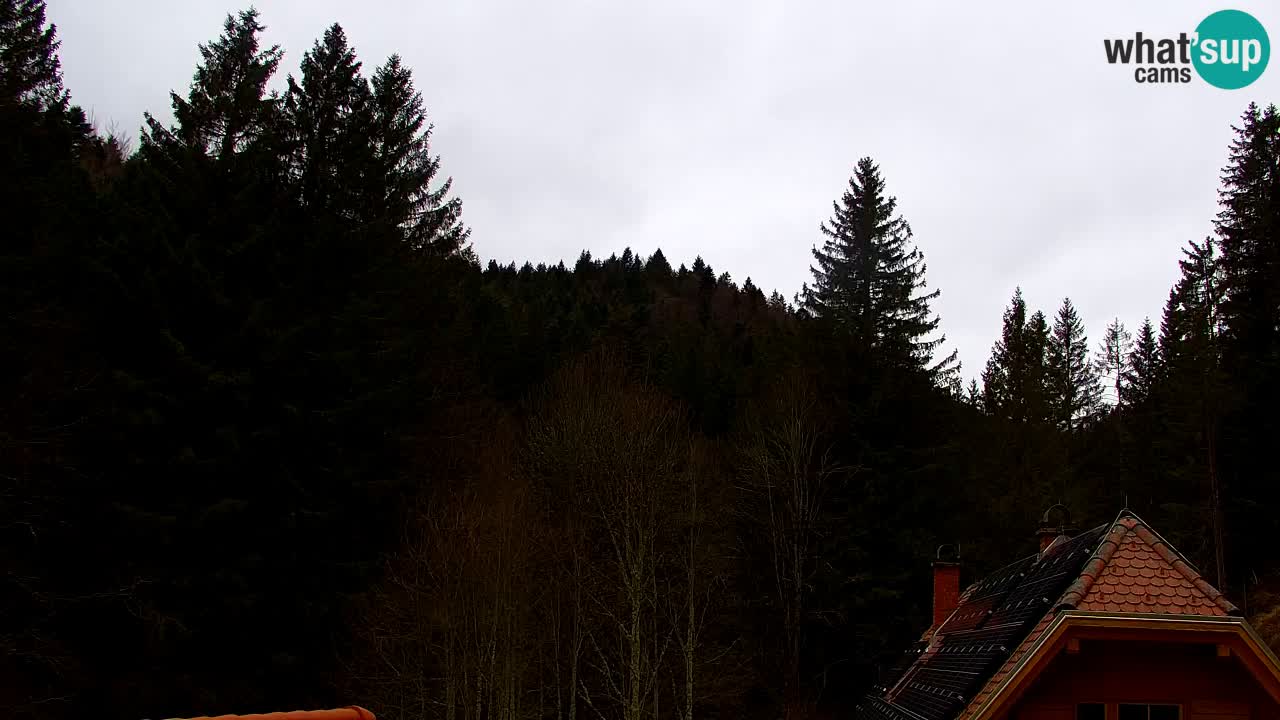 Webcam Lukanja – Water Village | Pohorje Houses