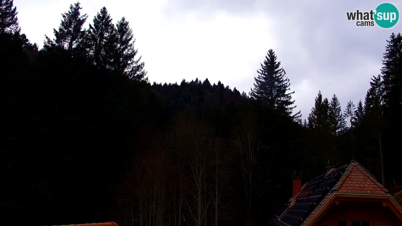 Spletna kamera Lukanja – Water Village | Pohorje Houses