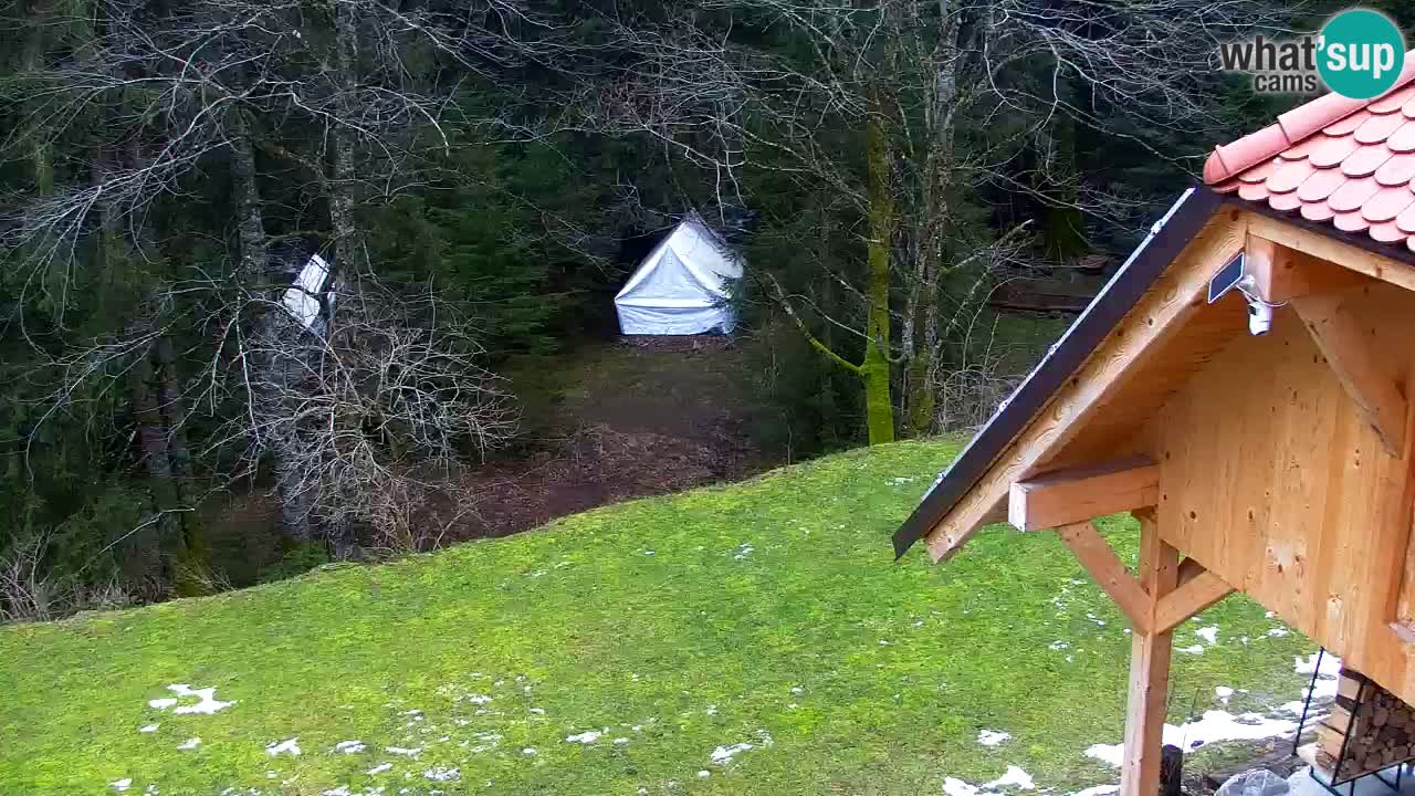 Webcam Lukanja – Water Village | Pohorje Houses