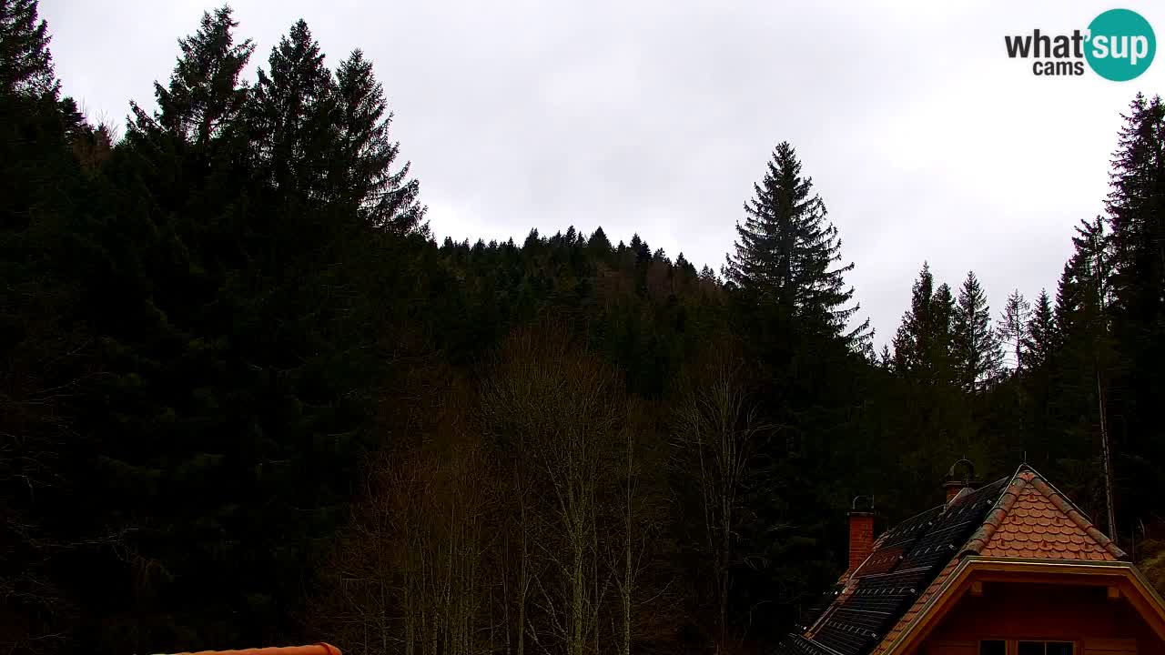 Webcam Lukanja – Water Village | Pohorje Houses