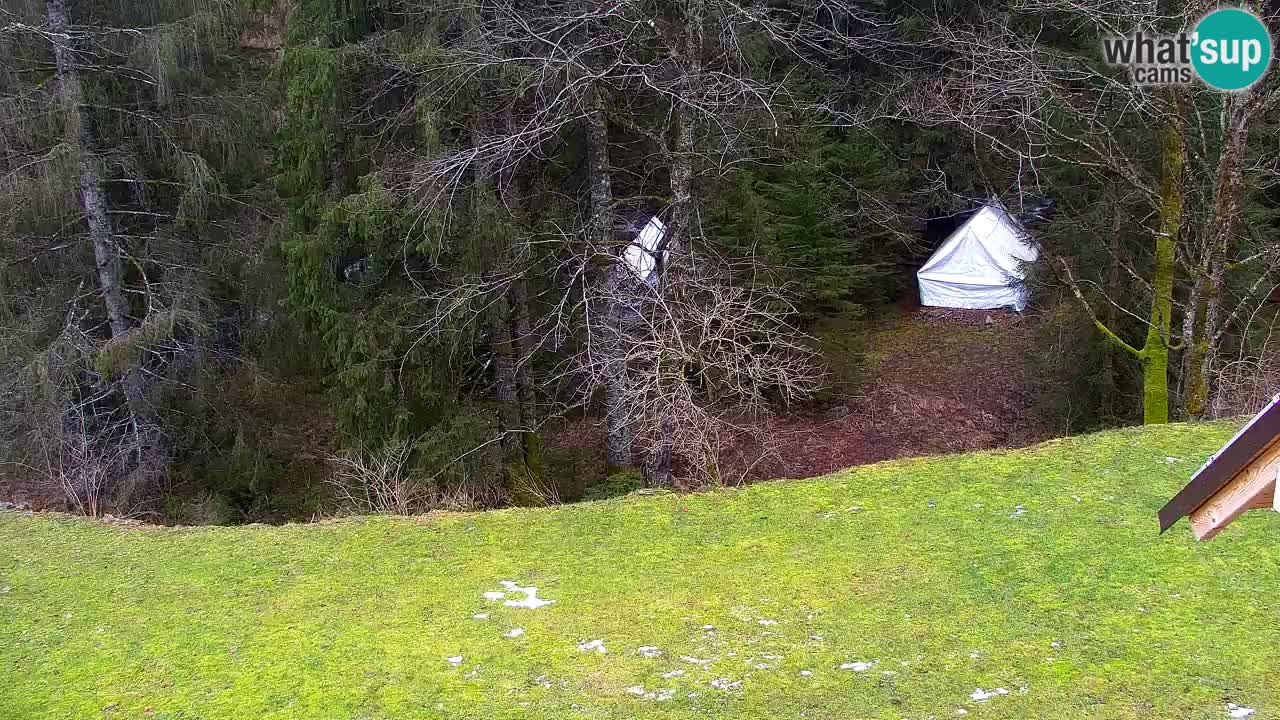 Webcam Lukanja – Water Village | Pohorje Houses