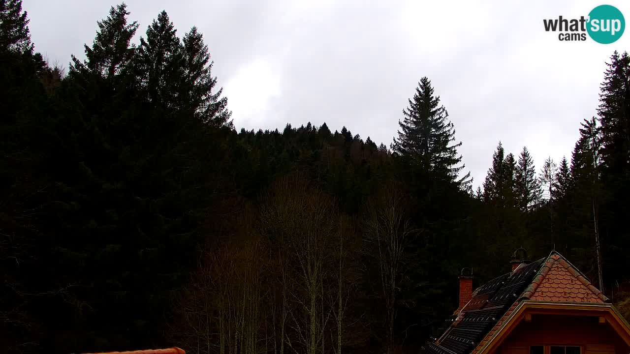 Spletna kamera Lukanja – Water Village | Pohorje Houses