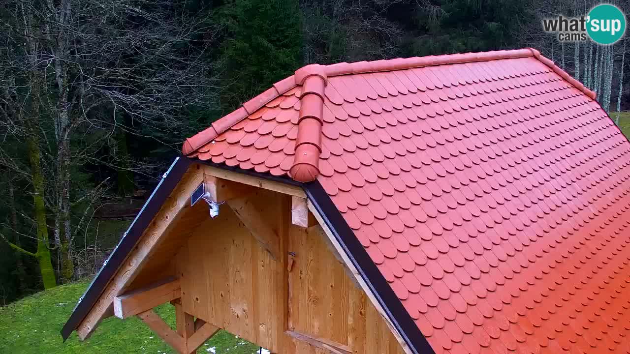 Webcam Lukanja – Water Village | Pohorje Houses