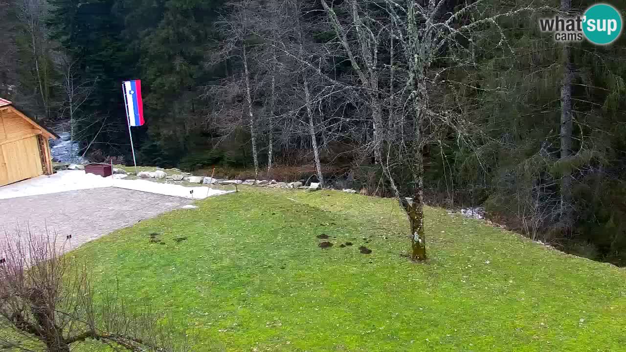 Webcam Lukanja – Water Village | Pohorje Houses