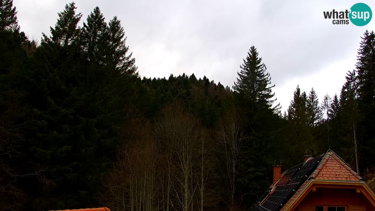 Spletna kamera Lukanja – Water Village | Pohorje Houses