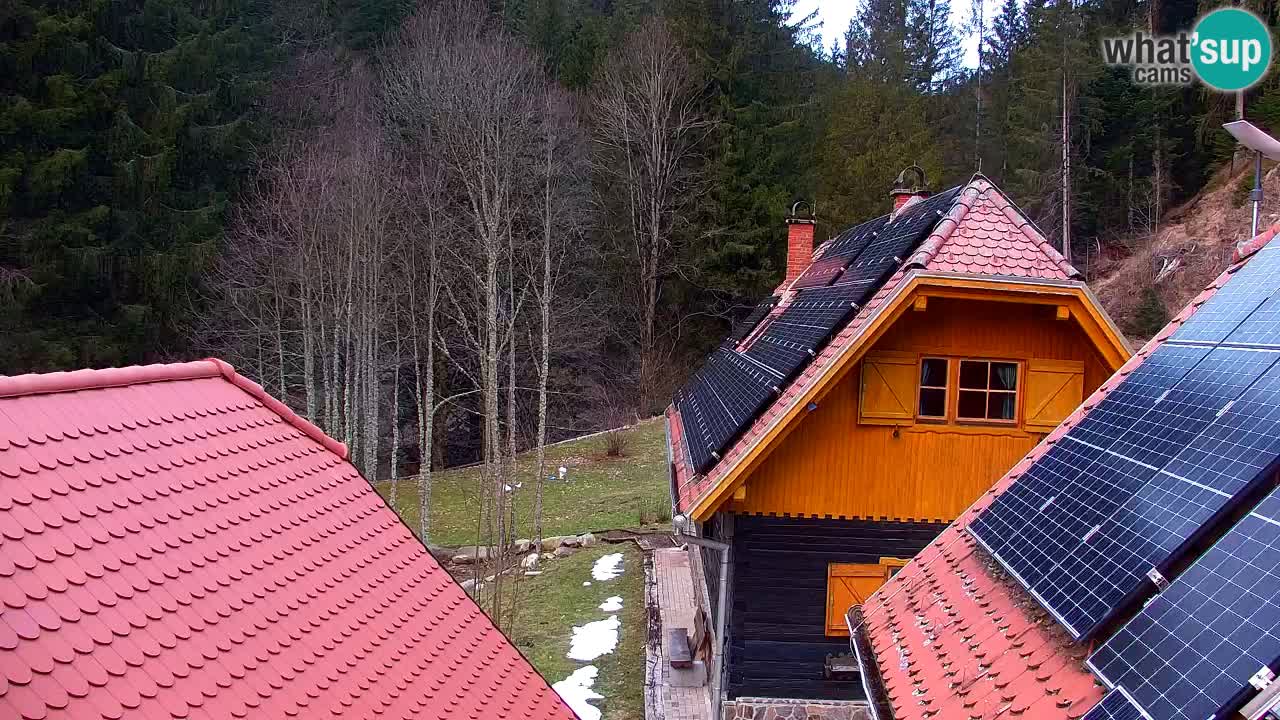 Webcam Lukanja – Water Village | Pohorje Houses