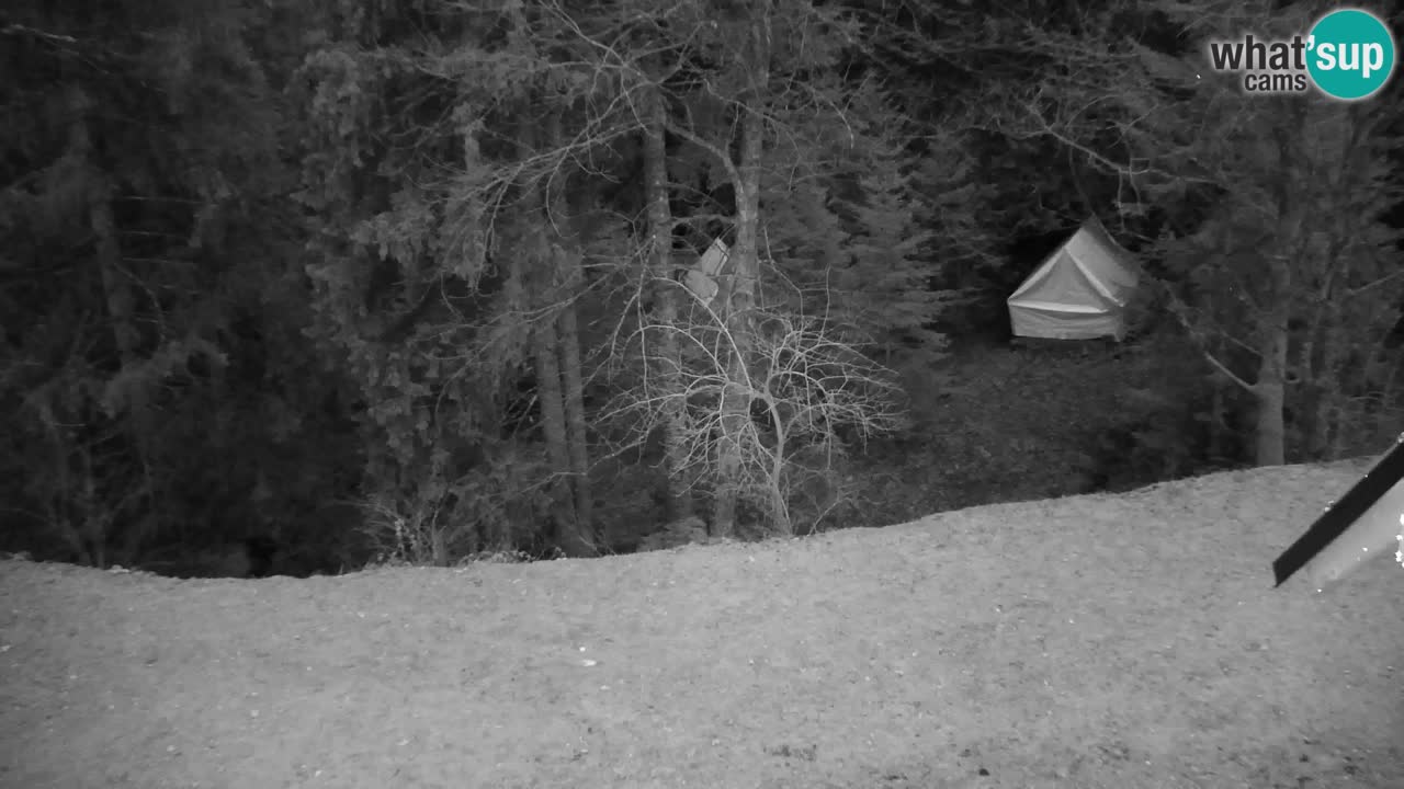 Webcam Lukanja – Water Village | Pohorje Houses