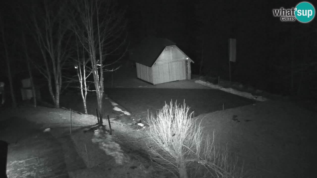 Webcam Lukanja – Pohorje houses a Water village