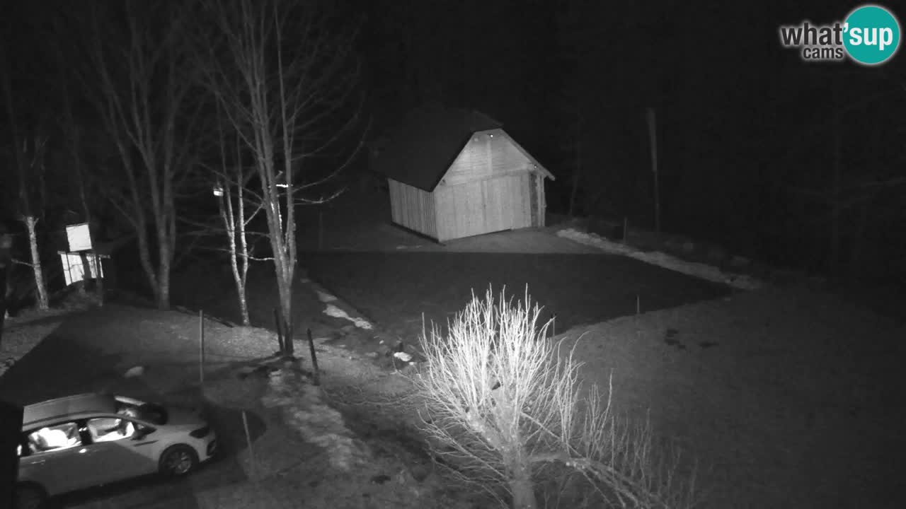 Webcam Lukanja – Water Village | Pohorje Houses