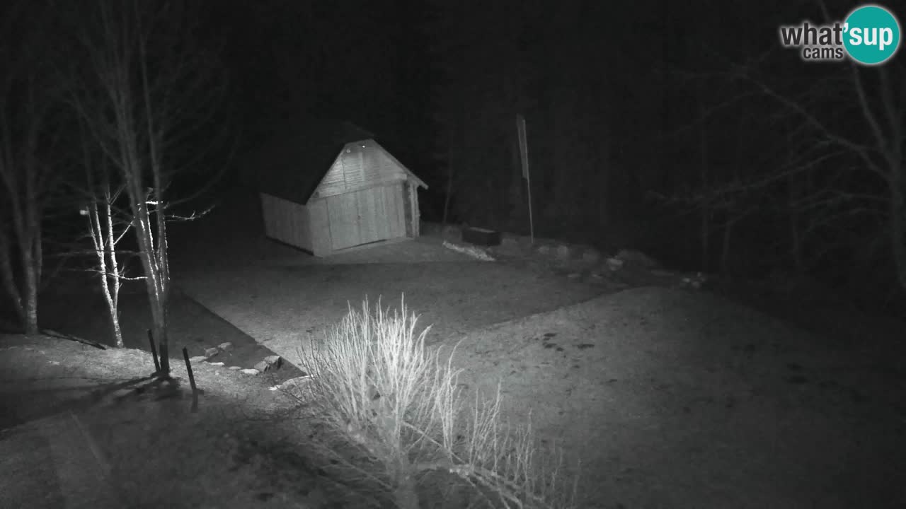 Webcam Lukanja – Pohorje houses a Water village