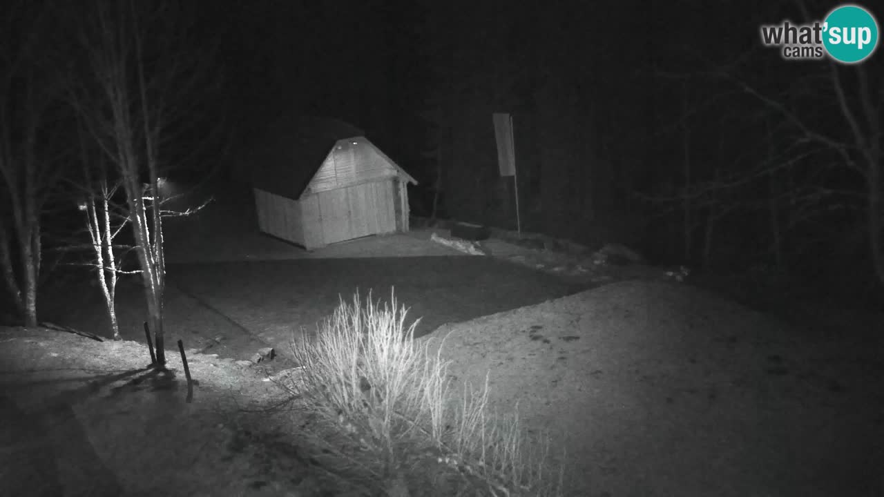 Webcam Lukanja – Pohorje houses a Water village