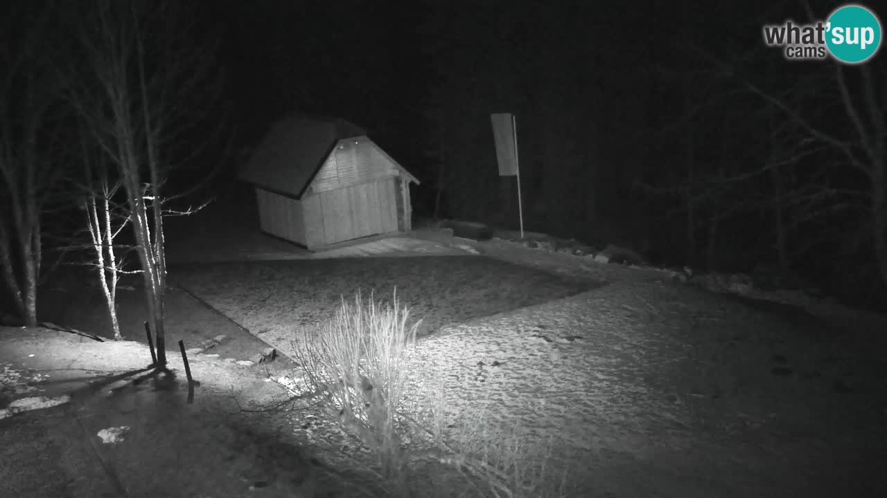 Webcam Lukanja – Pohorje houses a Water village