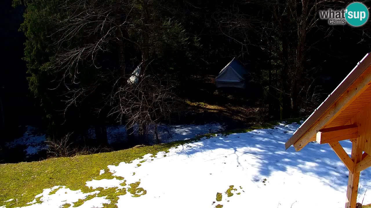 Webcam Lukanja – Water Village | Pohorje Houses