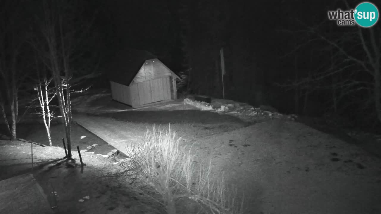 Webcam Lukanja – Water Village | Pohorje Houses