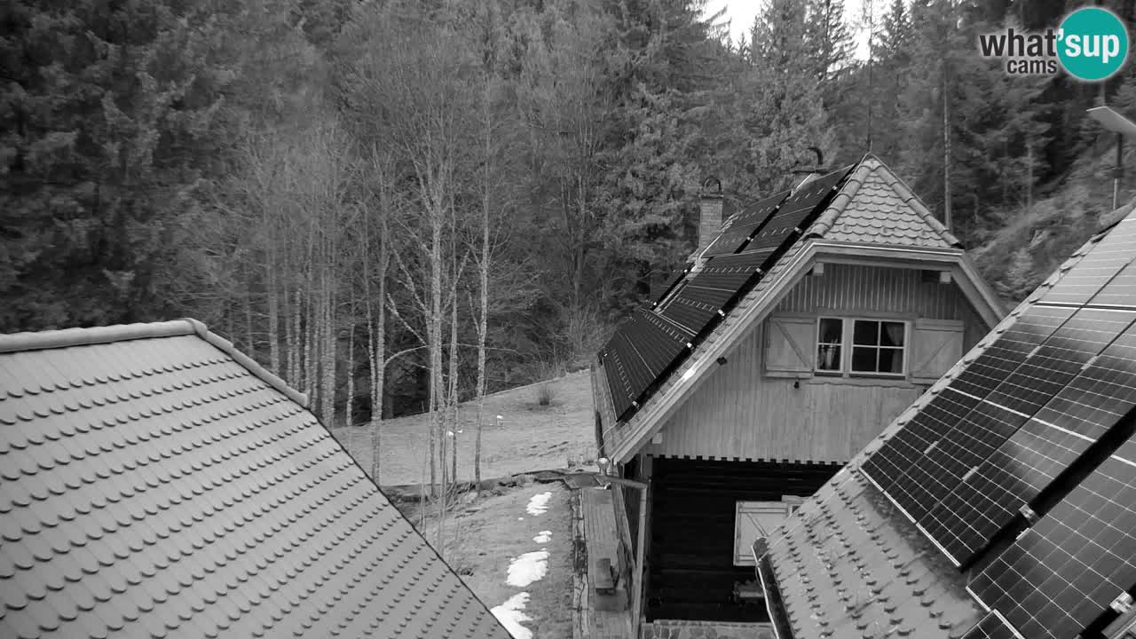 Web kamera Lukanja – Water Village | Pohorje Houses