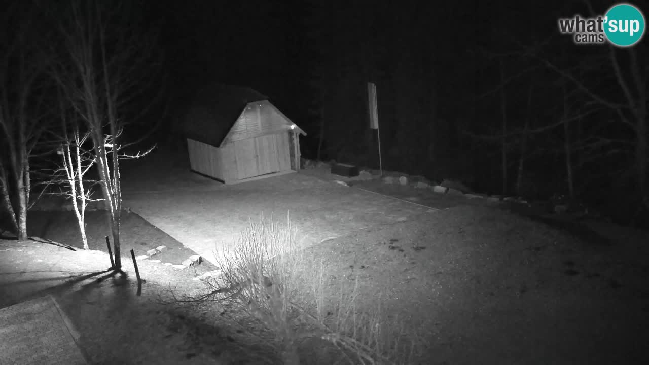 Spletna kamera Lukanja – Water Village | Pohorje Houses