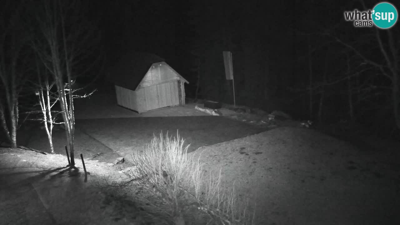 Webcam Lukanja – Water Village | Pohorje Houses