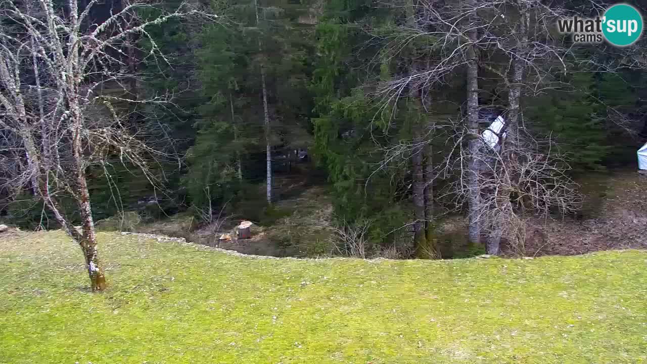 Webcam Lukanja – Pohorje houses a Water village