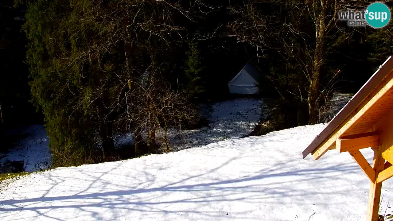 Webcam Lukanja – Pohorje houses a Water village