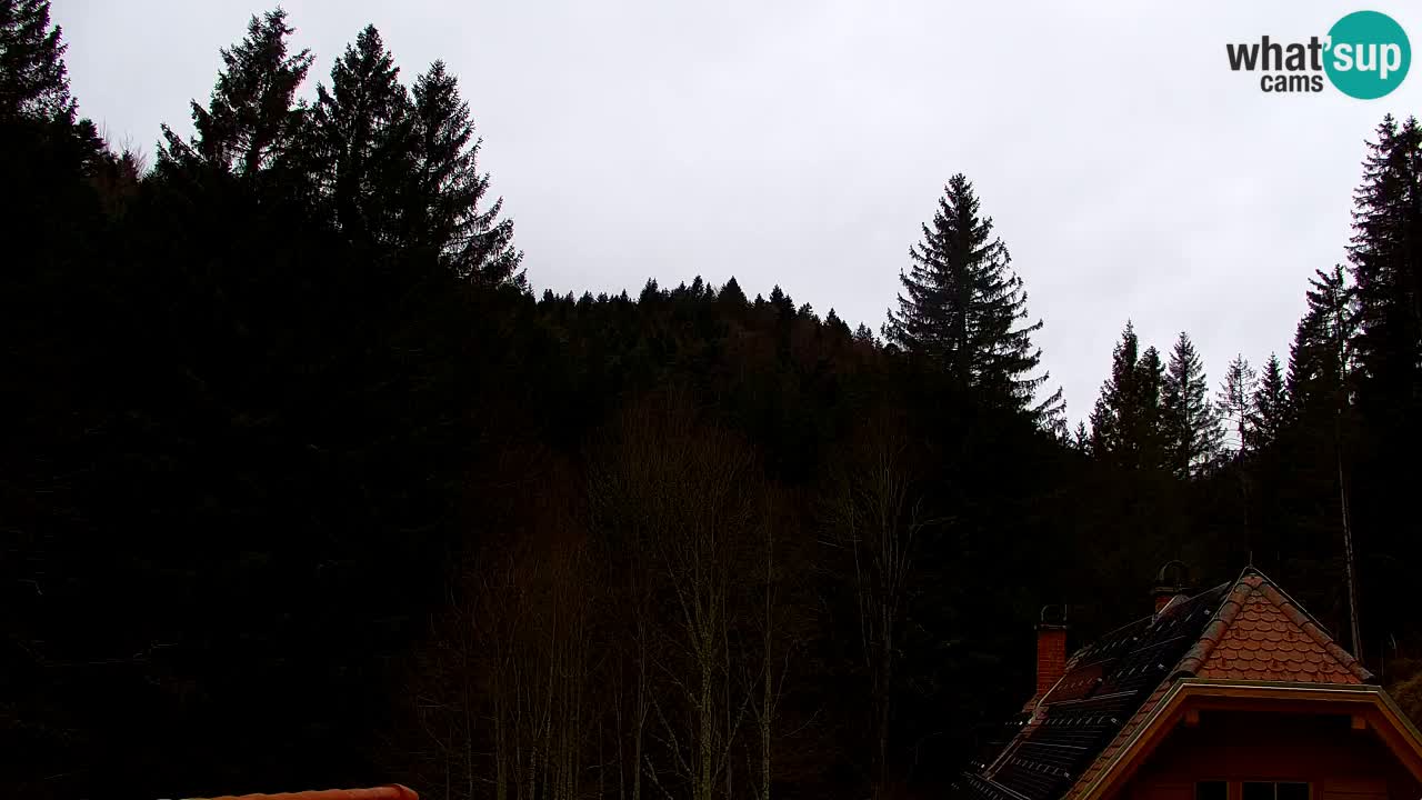 Webcam Lukanja – Water Village | Pohorje Houses