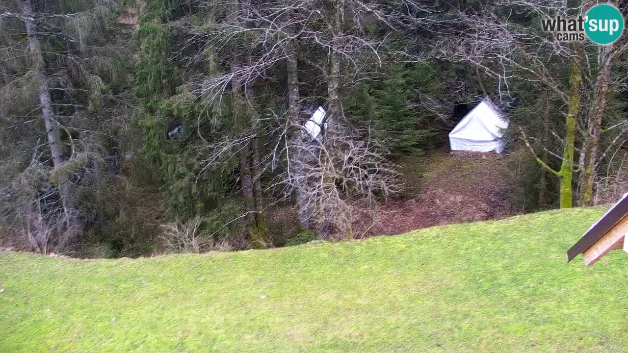 Webcam Lukanja – Pohorje houses a Water village