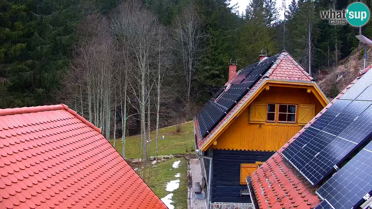 Webcam Lukanja – Water Village | Pohorje Houses