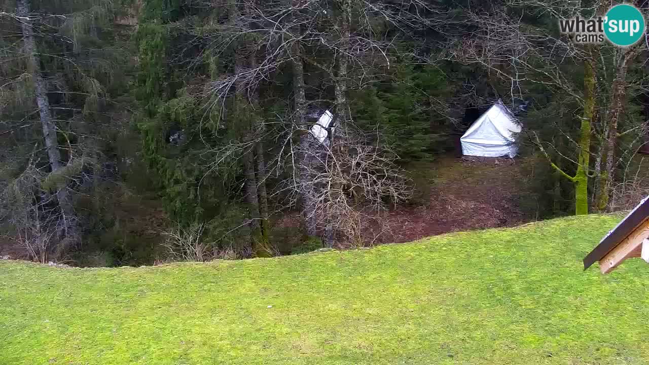 Webcam Lukanja – Water Village | Pohorje Houses