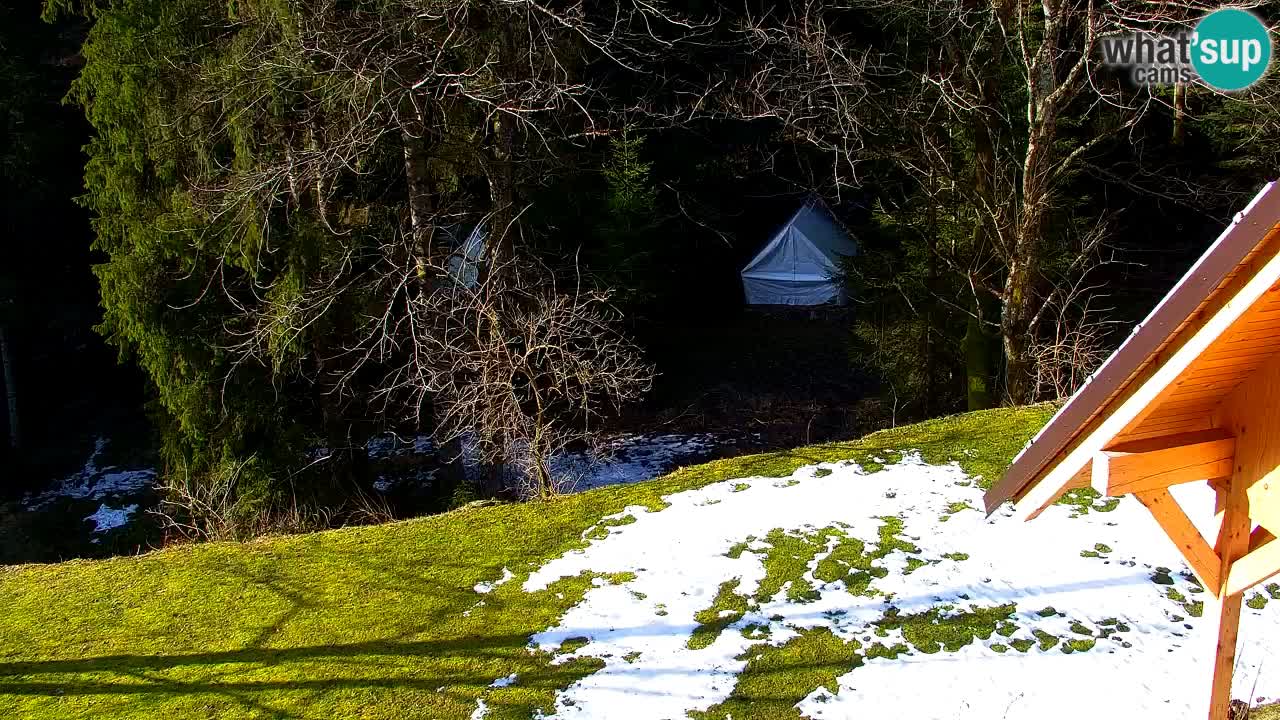 Webcam Lukanja – Water Village | Pohorje Houses