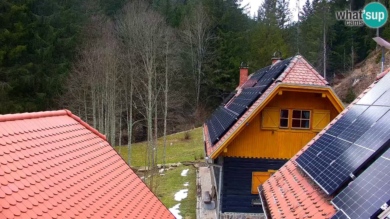Webcam Lukanja – Pohorje houses a Water village