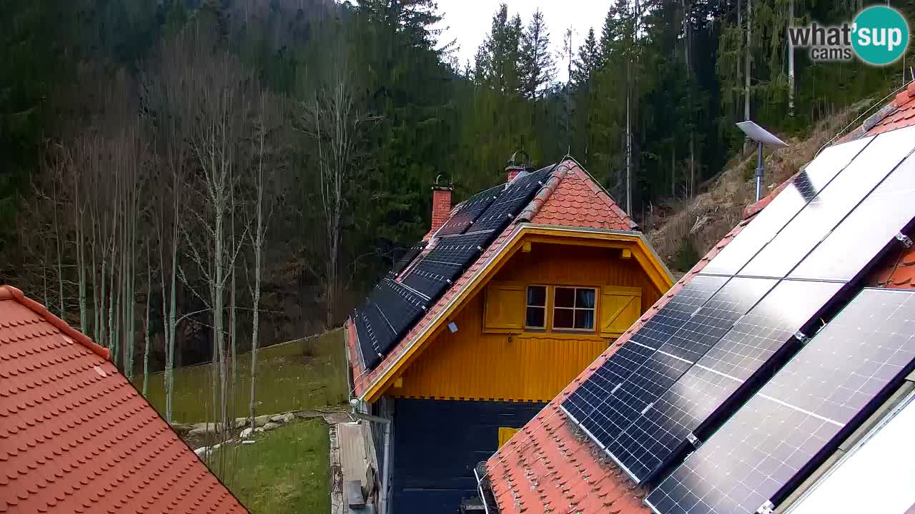 Webcam Lukanja – Water Village | Pohorje Houses