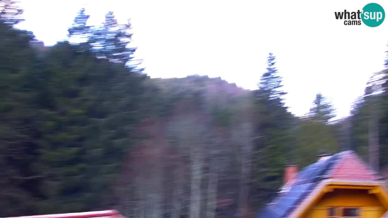 Webcam Lukanja – Water Village | Pohorje Houses