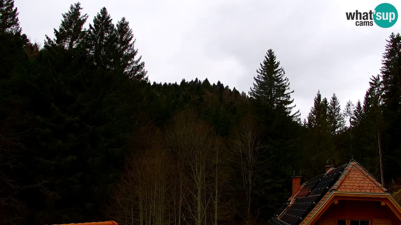 Webcam Lukanja – Water Village | Pohorje Houses