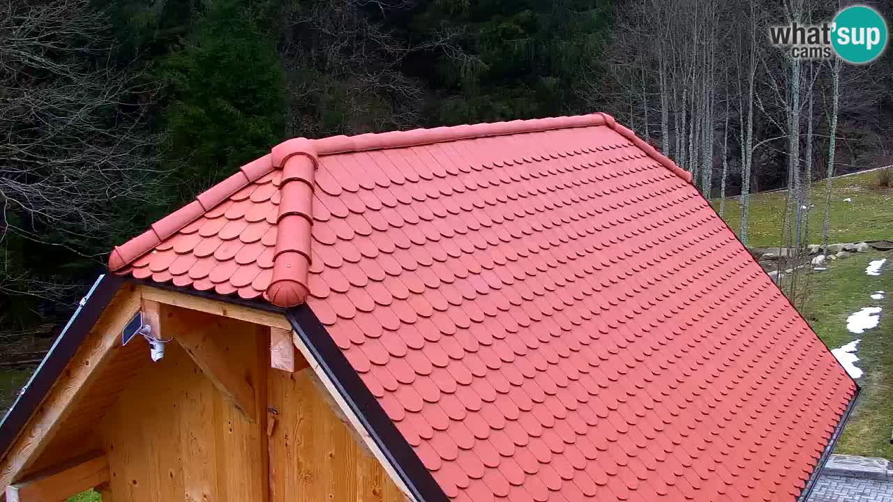 Webcam Lukanja – Water Village | Pohorje Houses