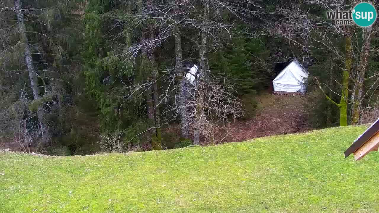 Webcam Lukanja – Water Village | Pohorje Houses