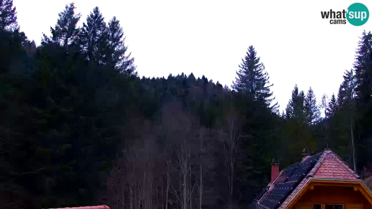 Web kamera Lukanja – Water Village | Pohorje Houses