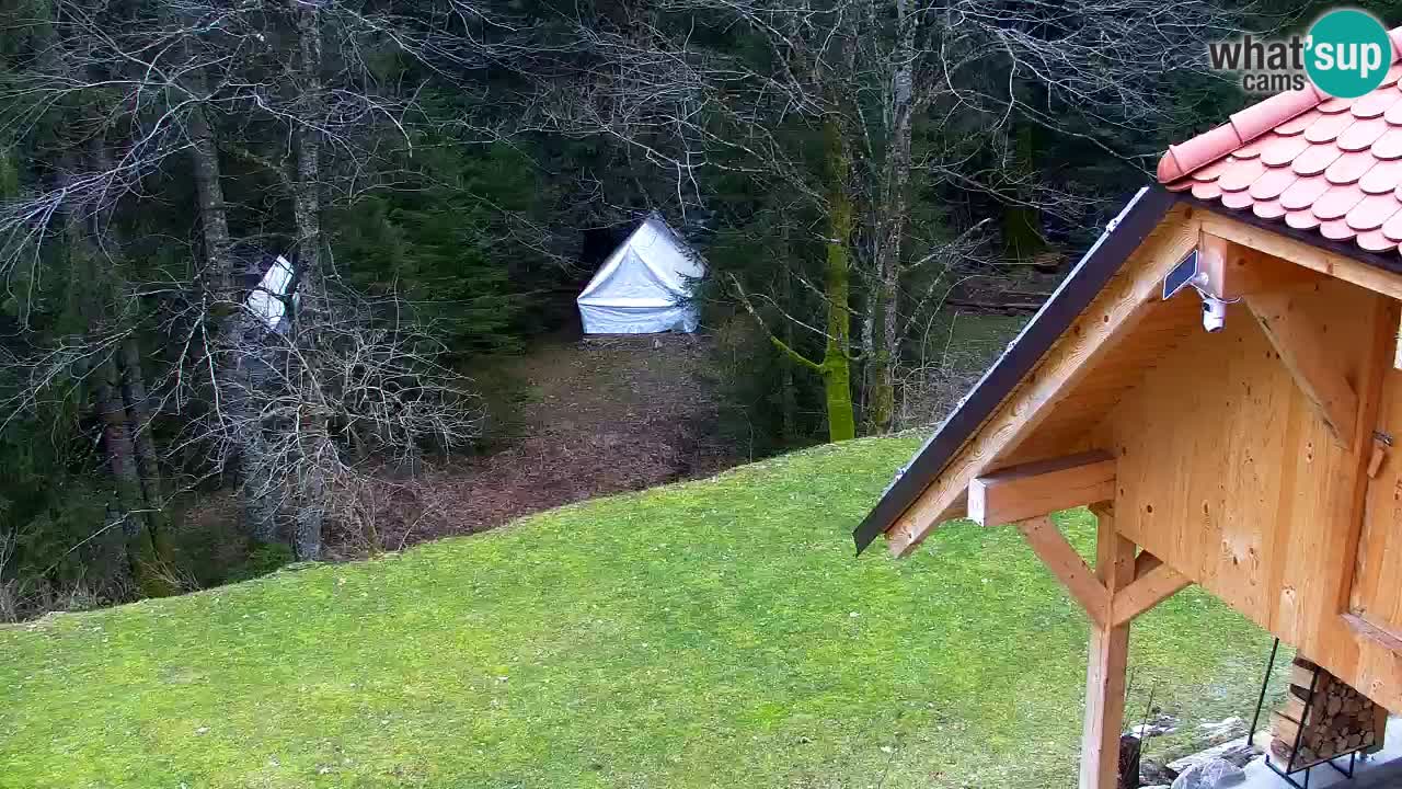 Webcam Lukanja – Water Village | Pohorje Houses