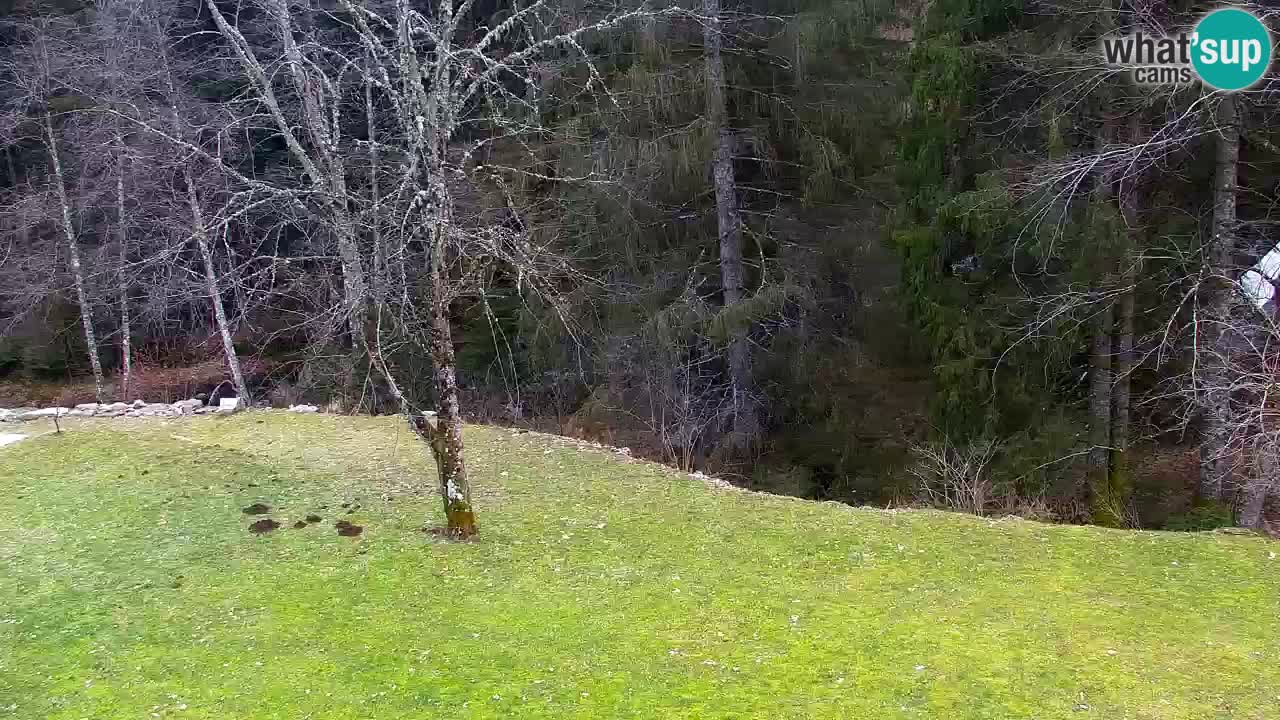 Webcam Lukanja – Water Village | Pohorje Houses