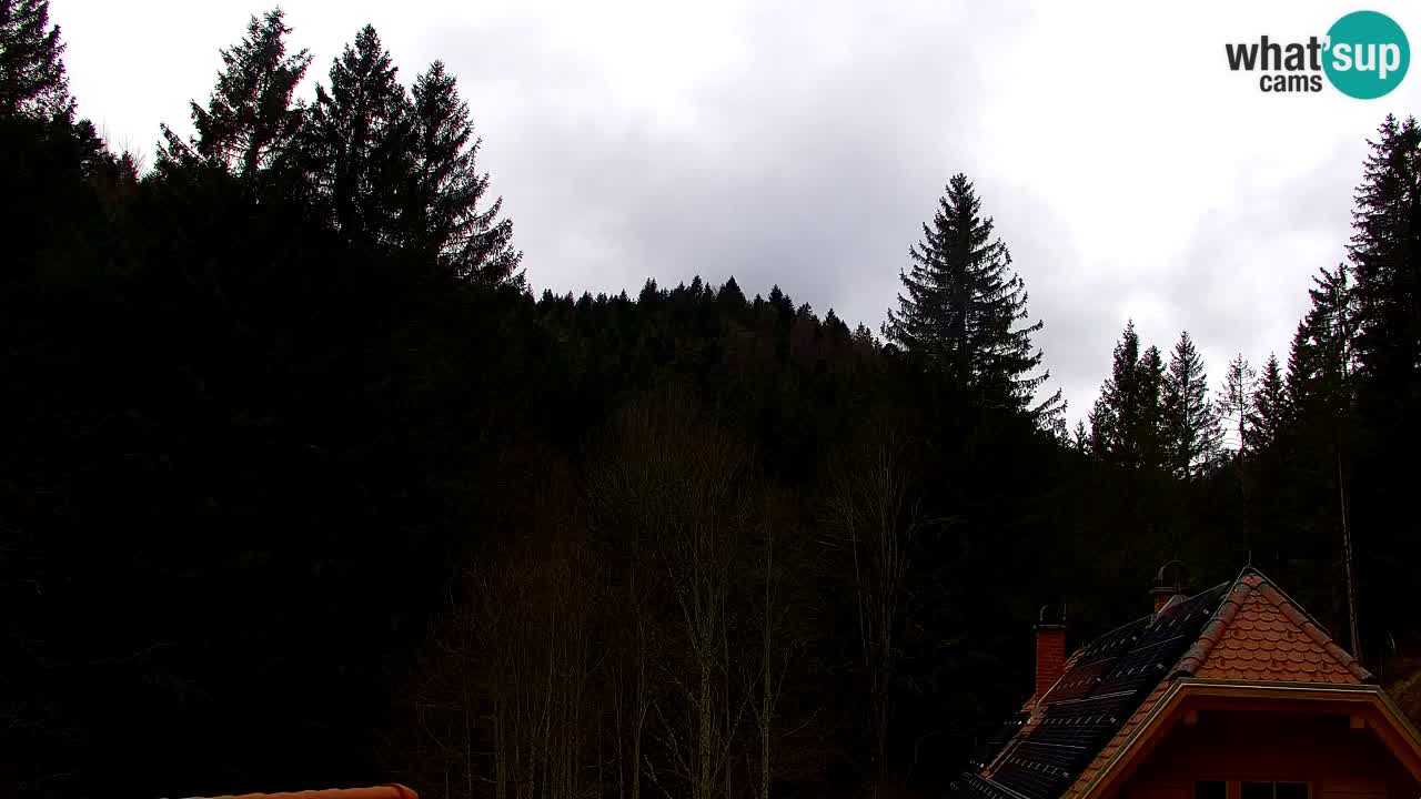 Webcam Lukanja – Pohorje houses a Water village