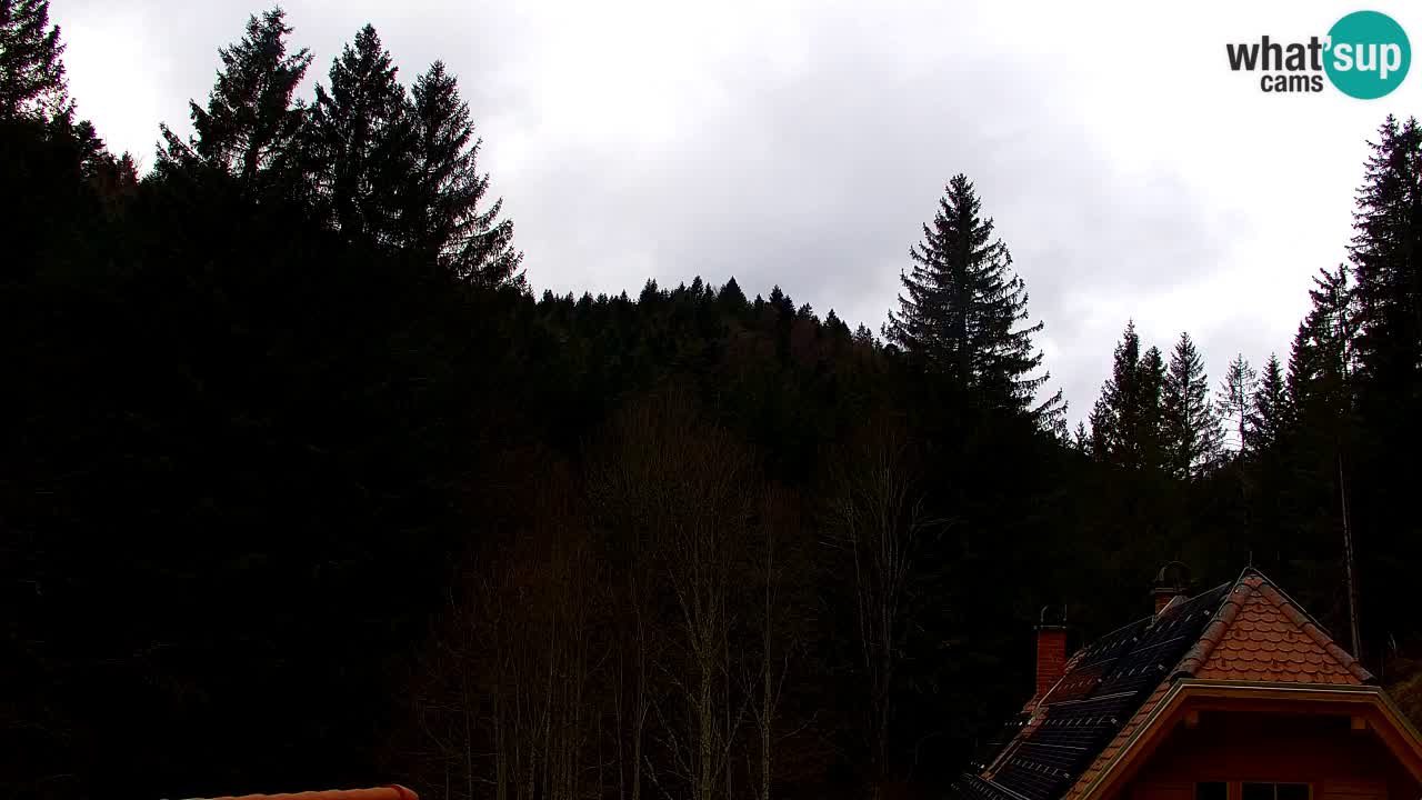 Webcam Lukanja – Pohorje houses a Water village