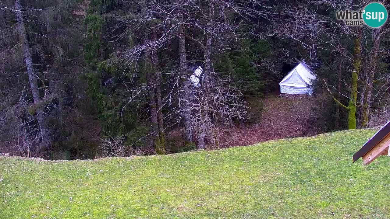 Webcam Lukanja – Water Village | Pohorje Houses