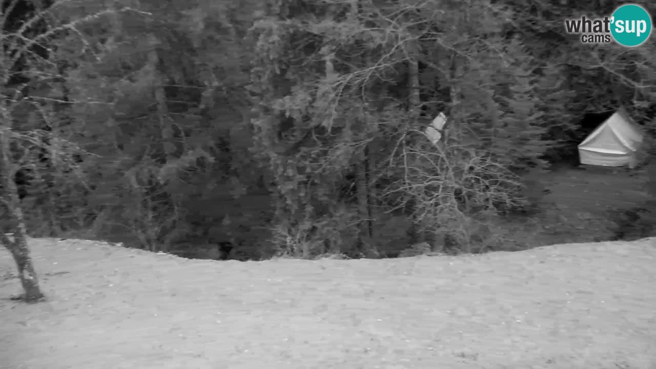 Spletna kamera Lukanja – Water Village | Pohorje Houses