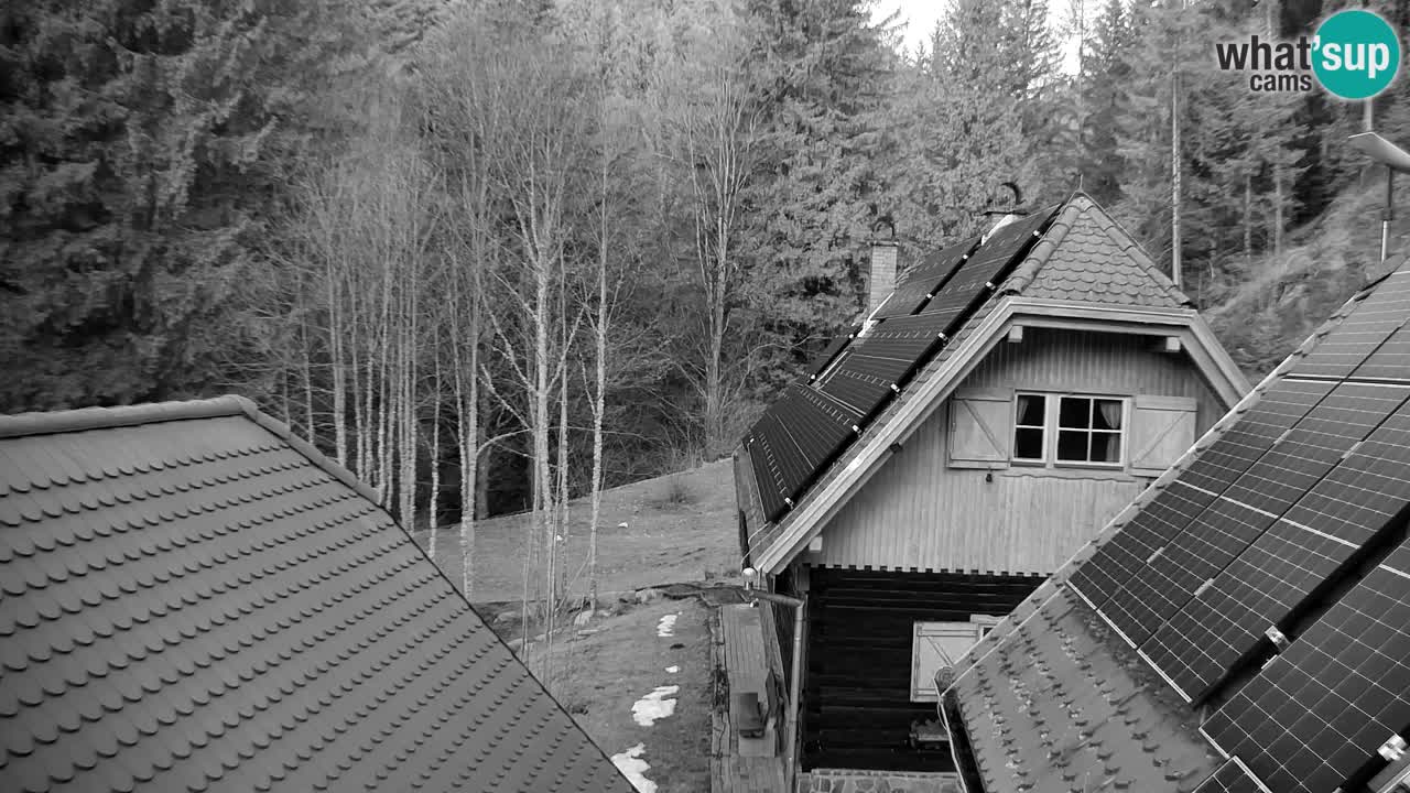 Webcam Lukanja – Water Village | Pohorje Houses