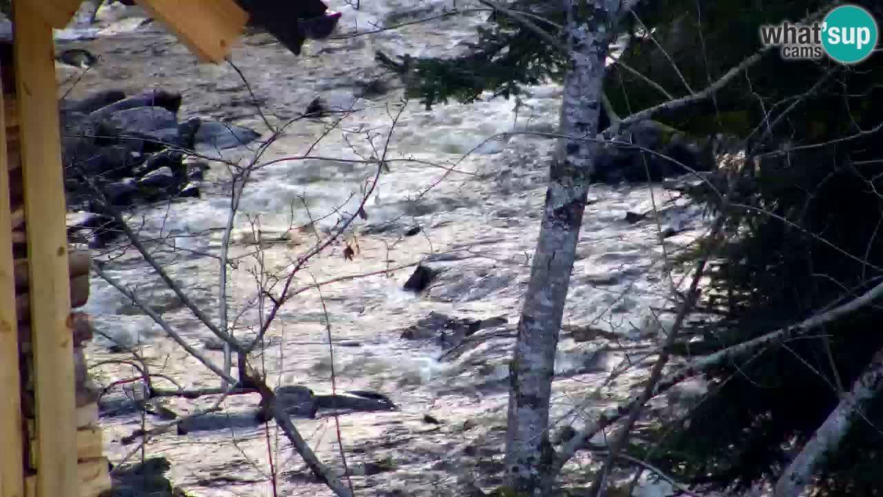 Webcam Lukanja – Water Village | Pohorje Houses