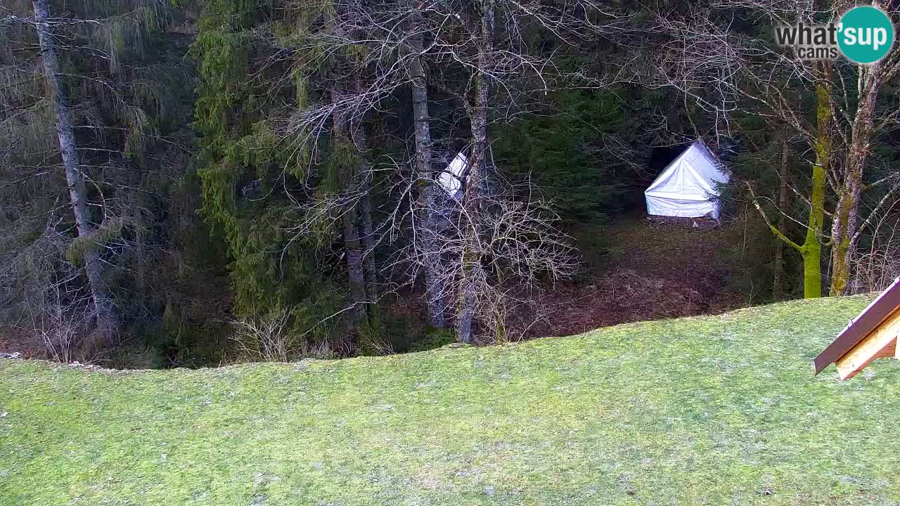 Webcam Lukanja – Water Village | Pohorje Houses