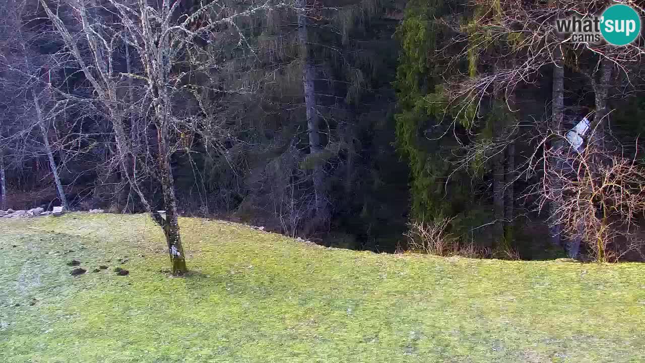 Webcam Lukanja – Water Village | Pohorje Houses