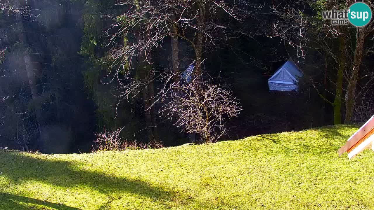 Webcam Lukanja – Water Village | Pohorje Houses