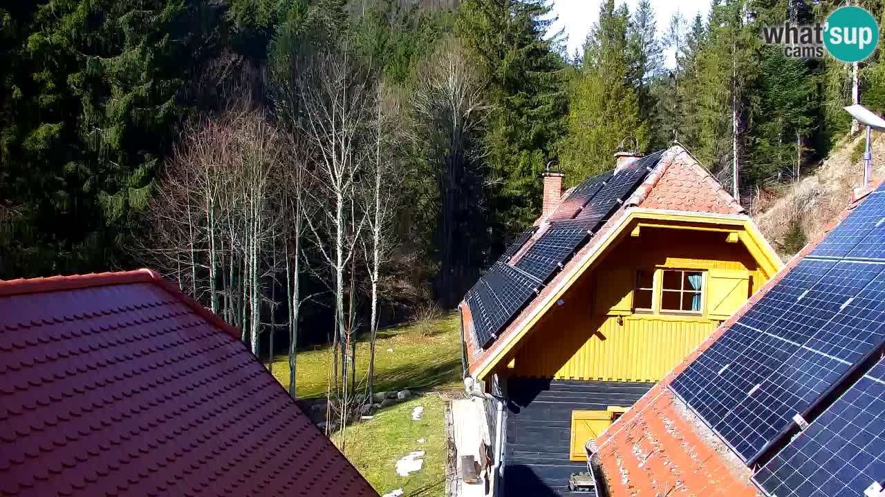 Webcam Lukanja – Water Village | Pohorje Houses